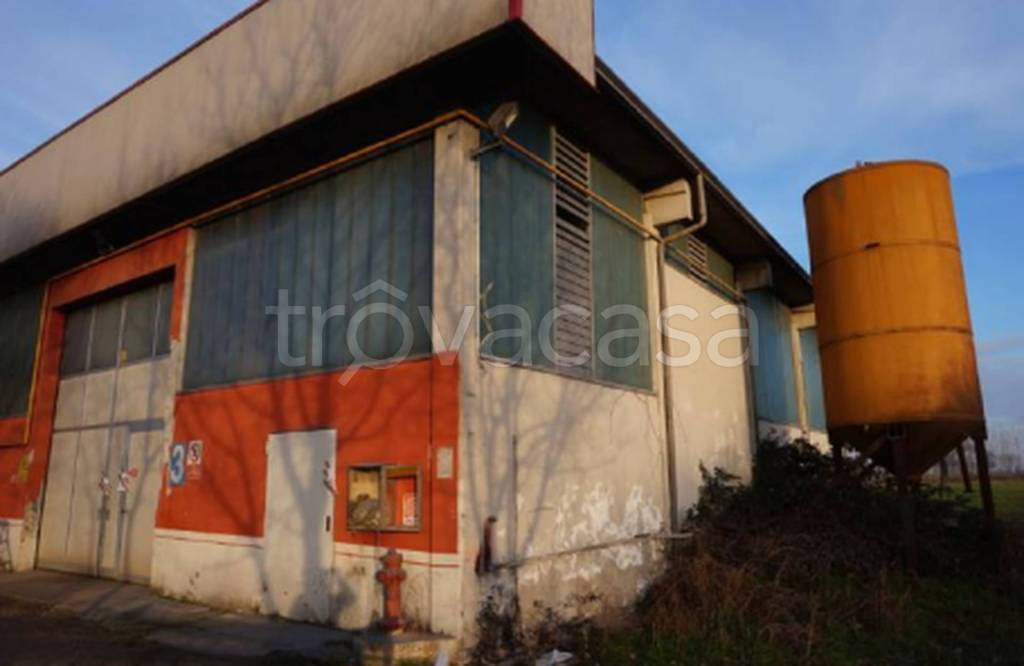 immagine annuncio 5 di 12