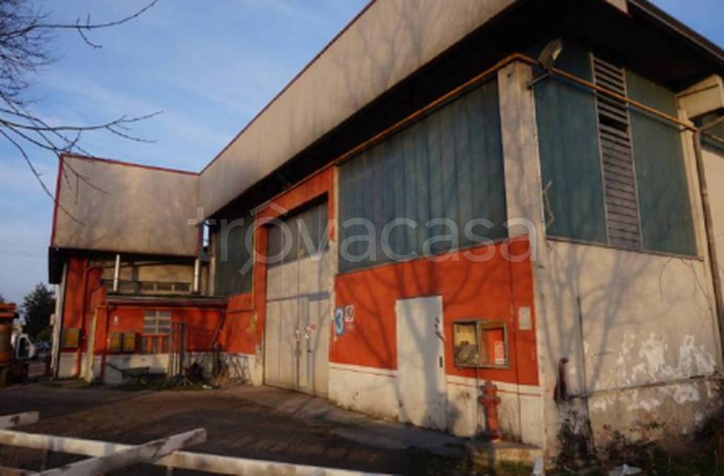 immagine annuncio 6 di 12