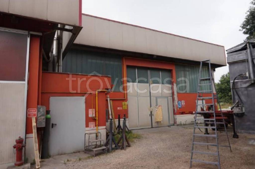 immagine annuncio 8 di 12