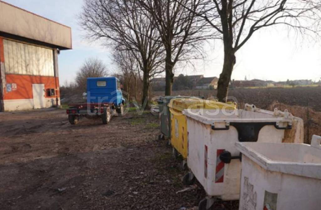 immagine annuncio 9 di 12