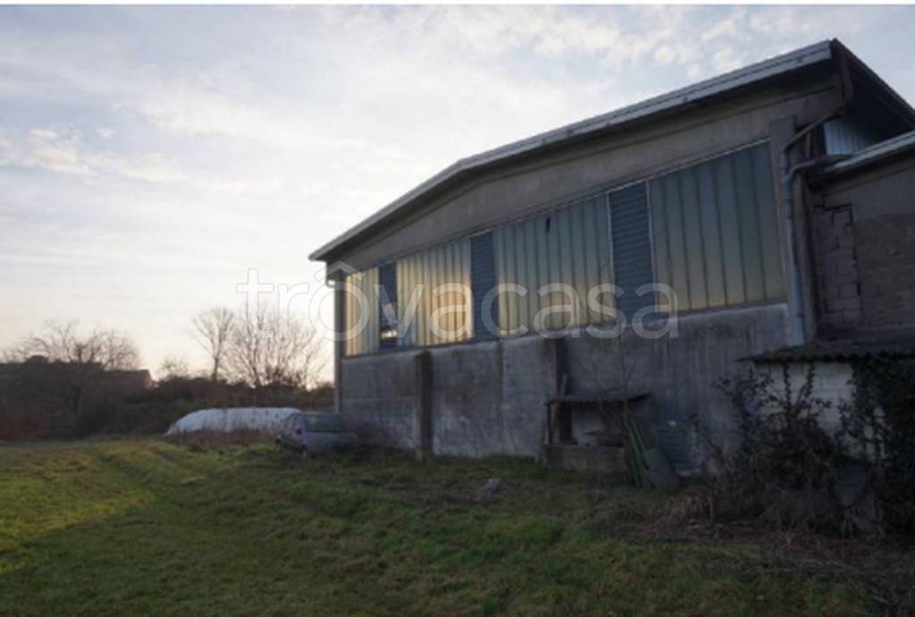 immagine annuncio 10 di 12