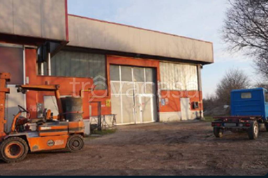 immagine annuncio 11 di 12