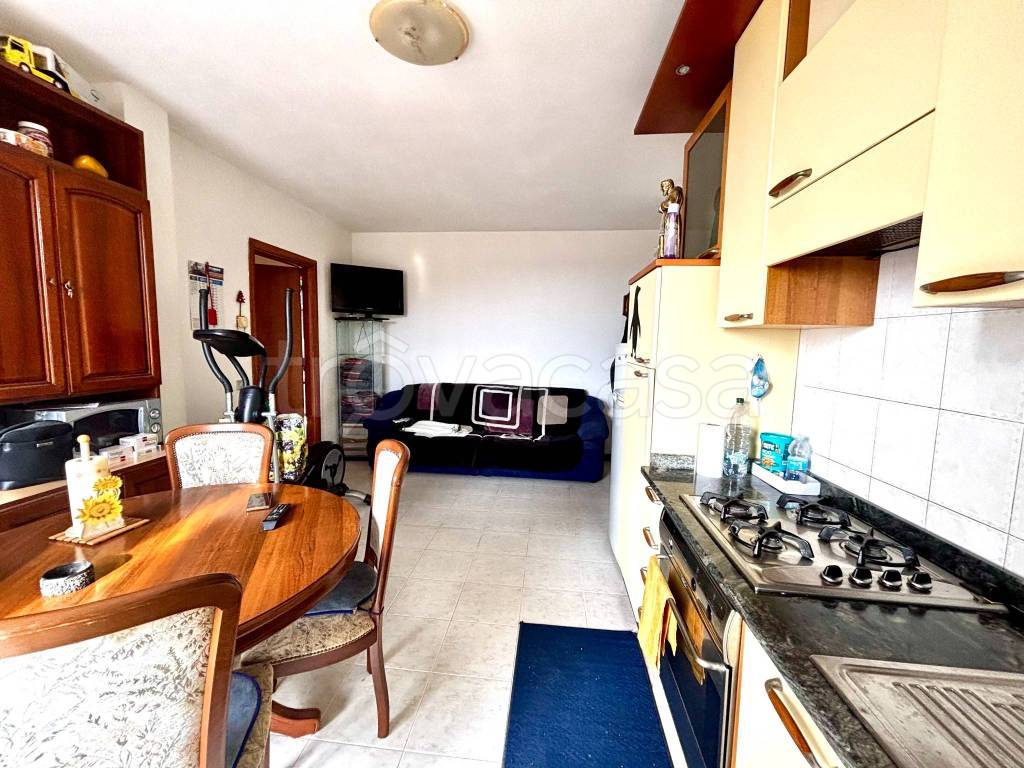 immagine annuncio 2 di 14