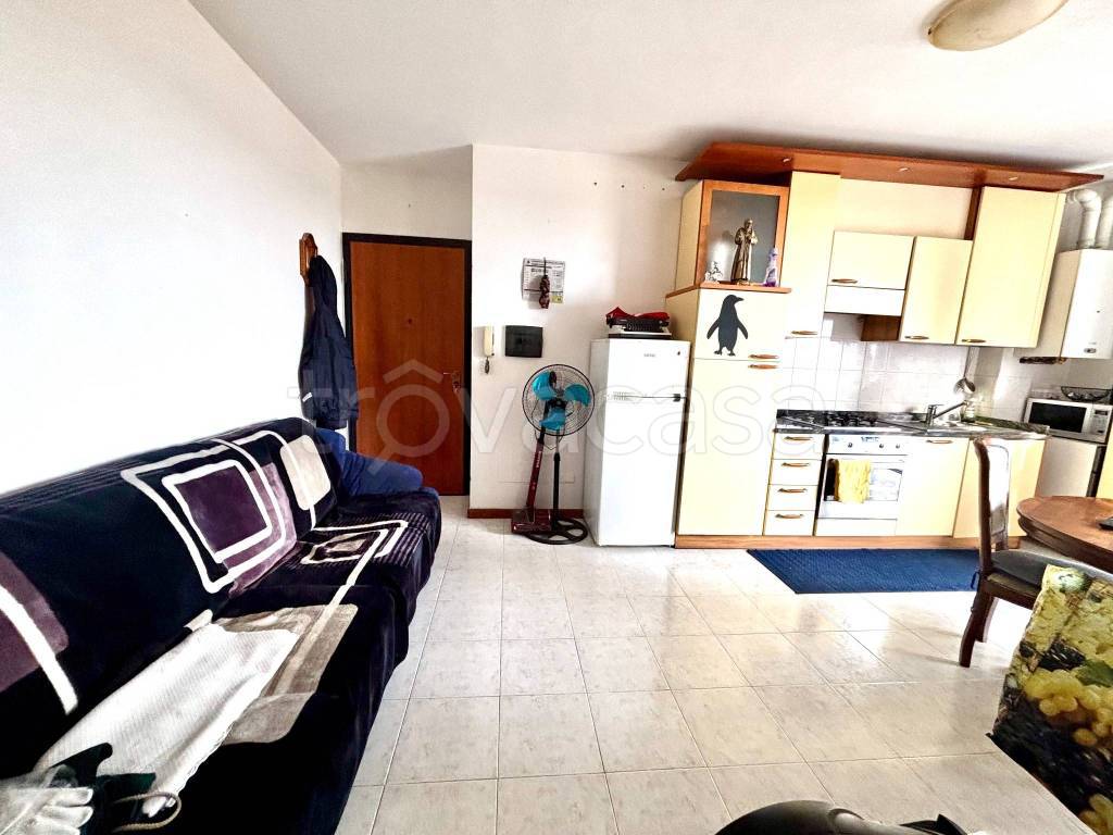 immagine annuncio 3 di 14