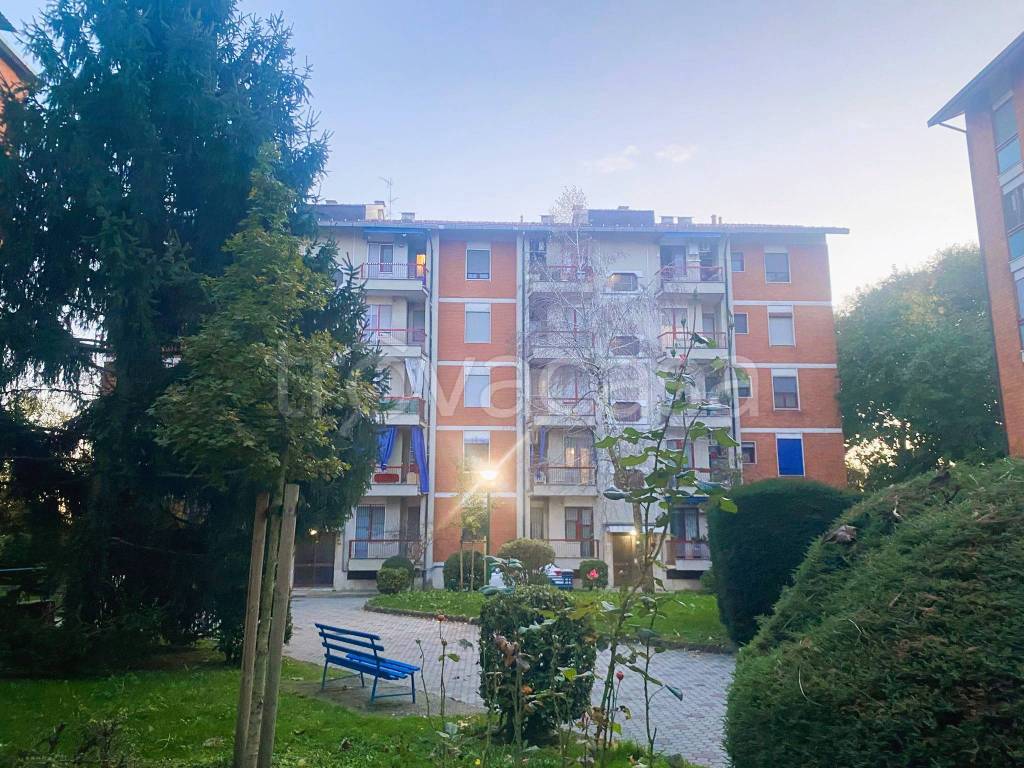 immagine annuncio 3 di 15