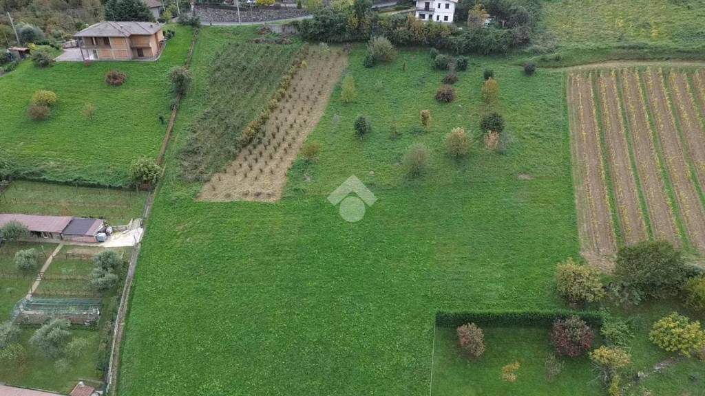 immagine annuncio 5 di 8