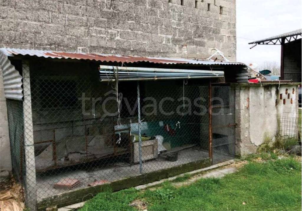 immagine annuncio 6 di 15