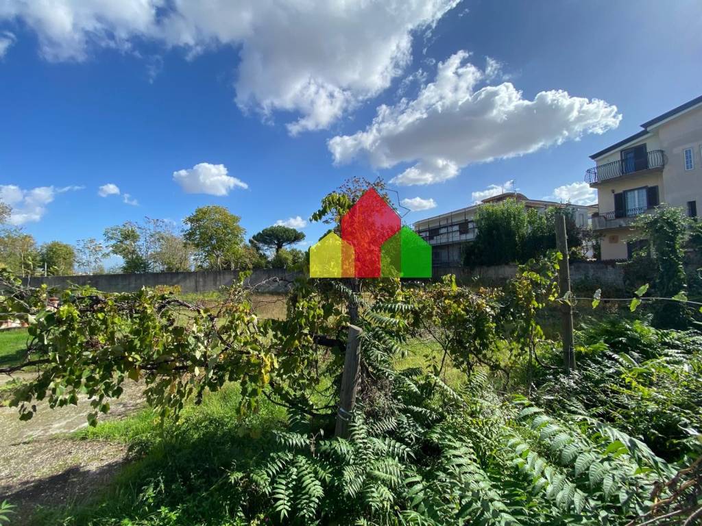 immagine annuncio 4 di 7