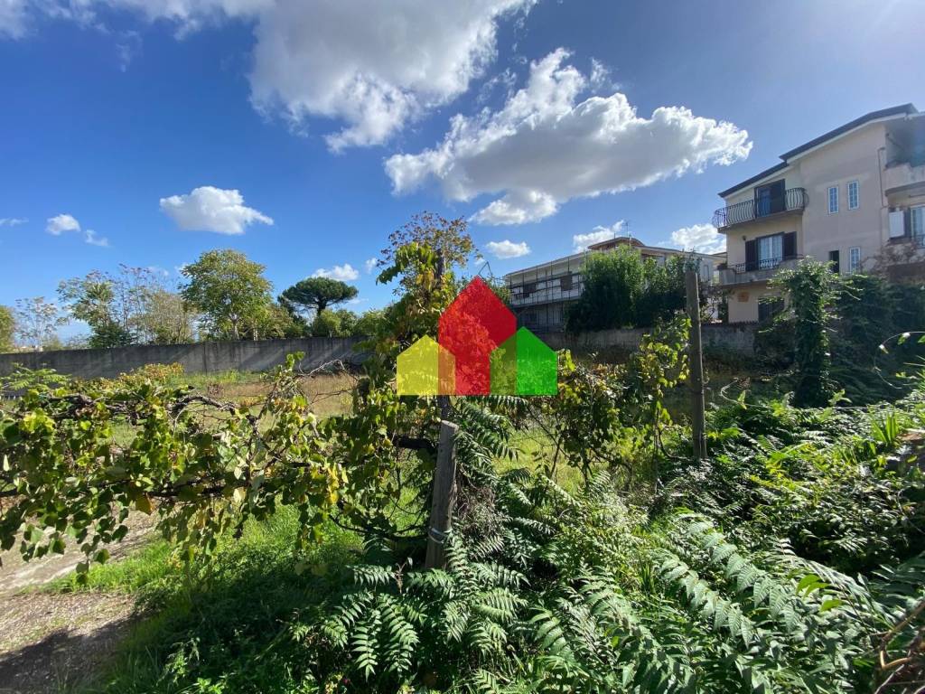 immagine annuncio 5 di 7