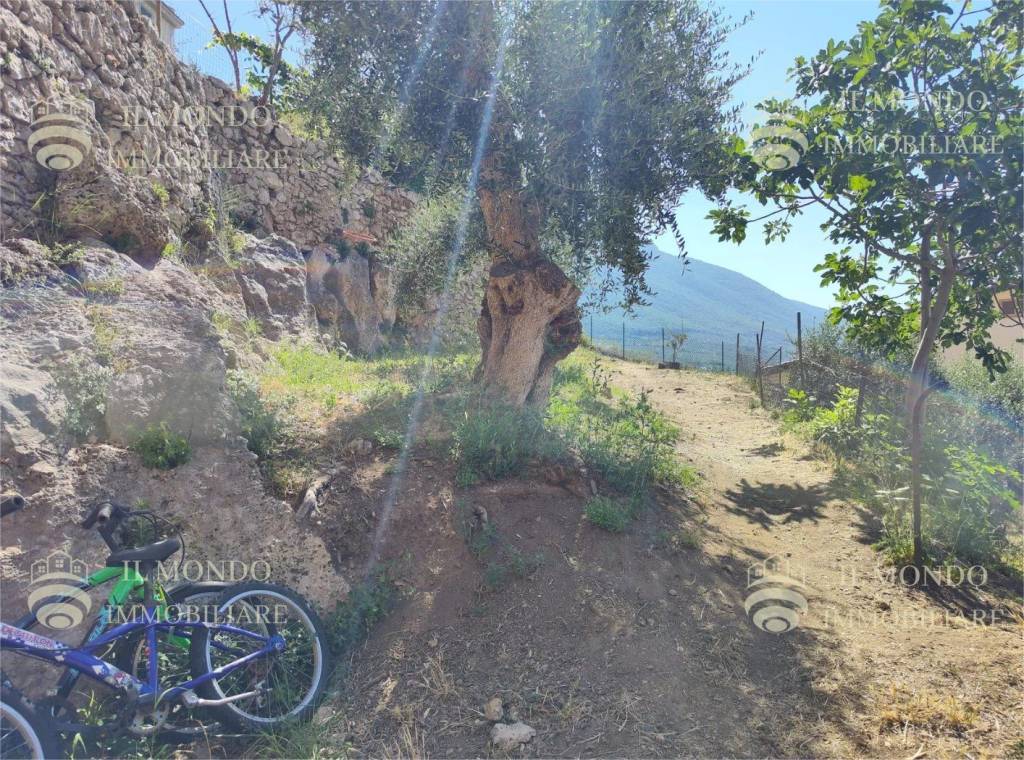 immagine annuncio 4 di 14