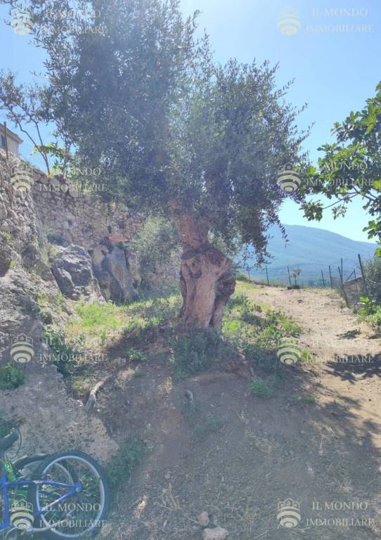 immagine annuncio 8 di 14