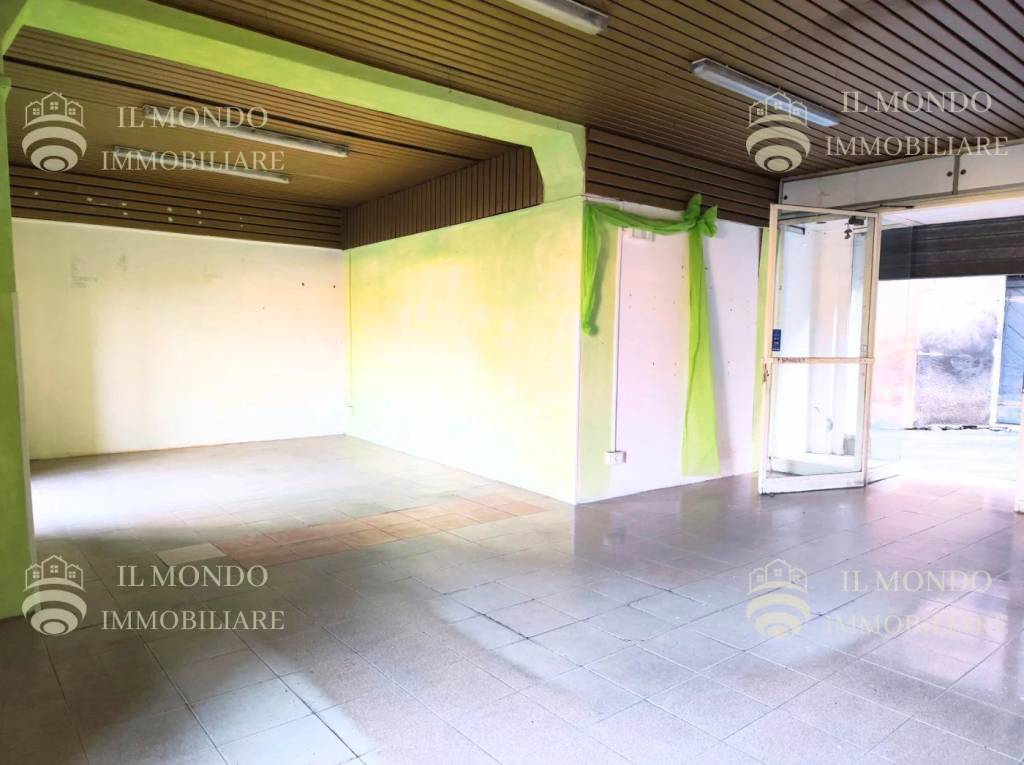 immagine annuncio 2 di 12