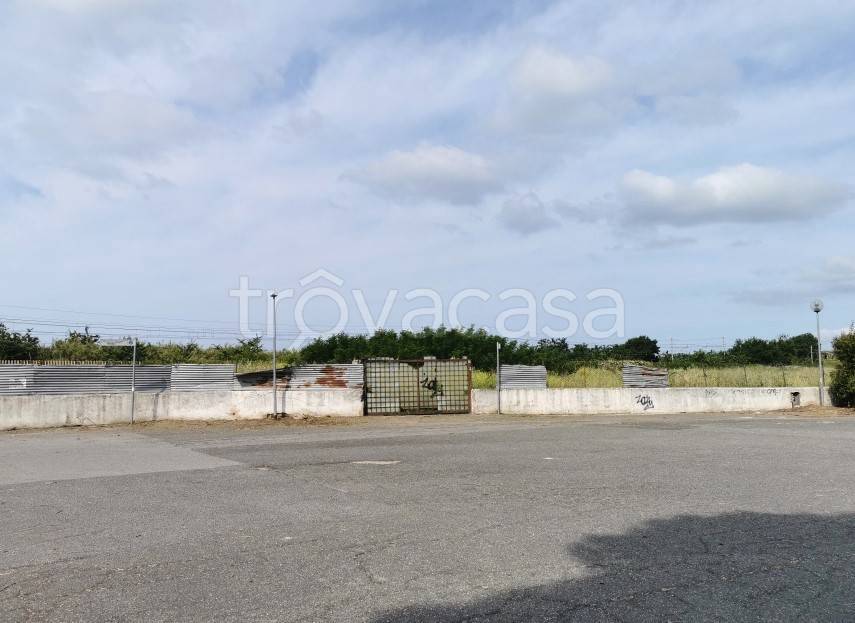 immagine annuncio 4 di 14