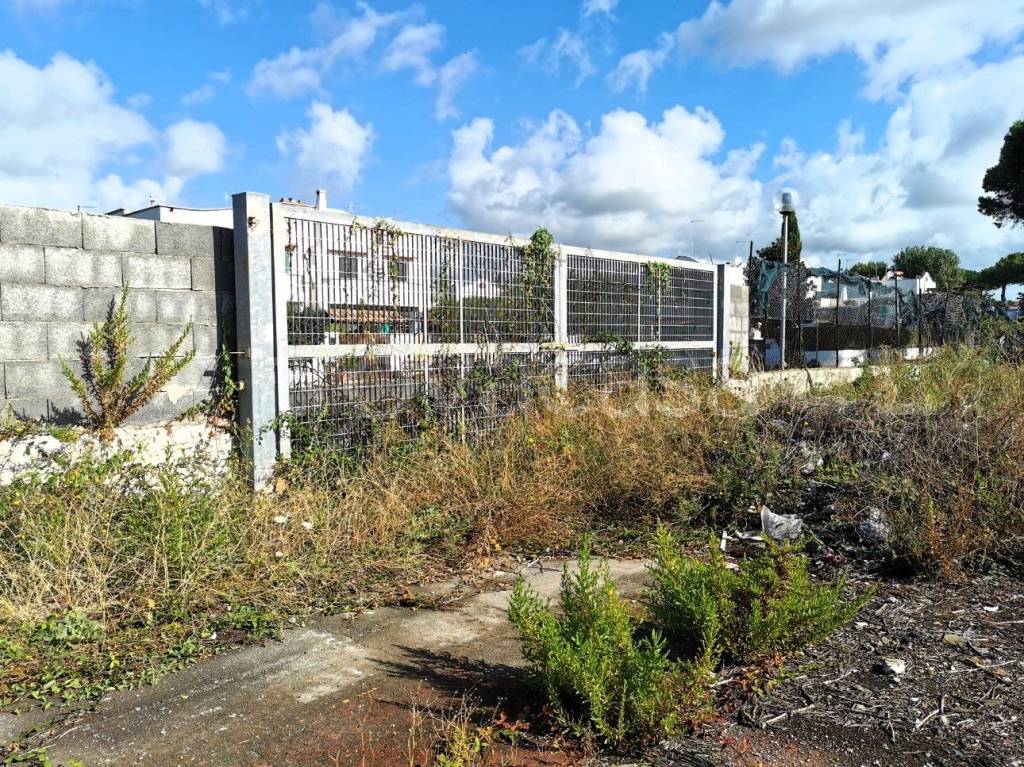 immagine annuncio 5 di 14