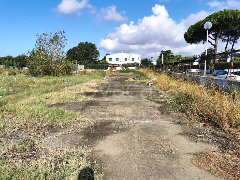 immagine annuncio 7 di 14