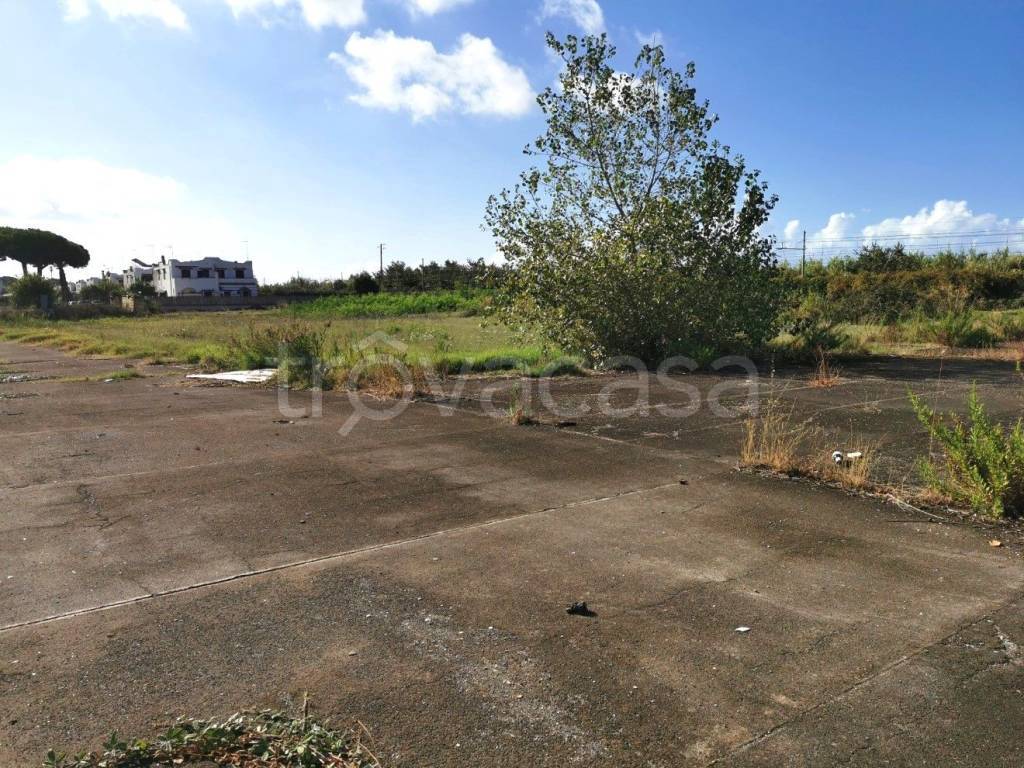 immagine annuncio 8 di 14