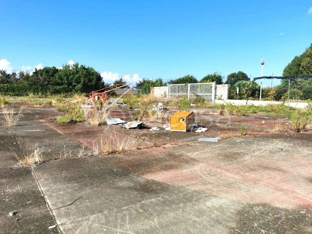 immagine annuncio 9 di 14