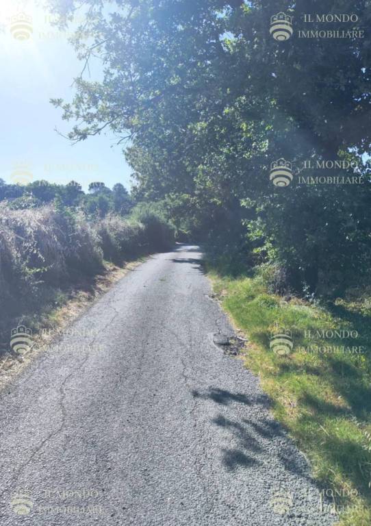 immagine annuncio 5 di 8