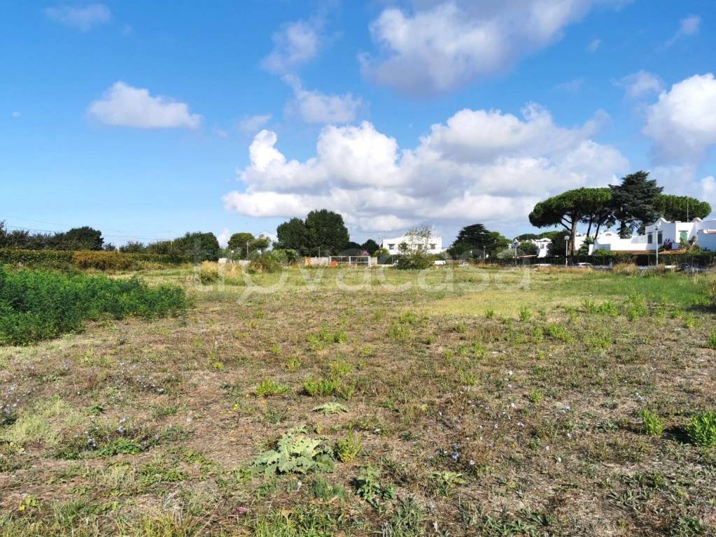 immagine annuncio 13 di 14