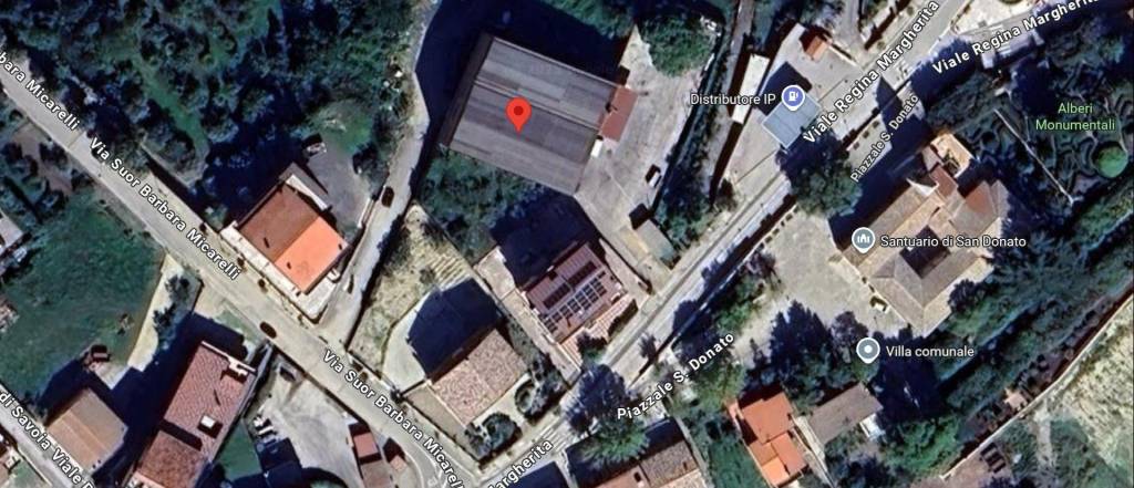 immagine annuncio 12 di 14