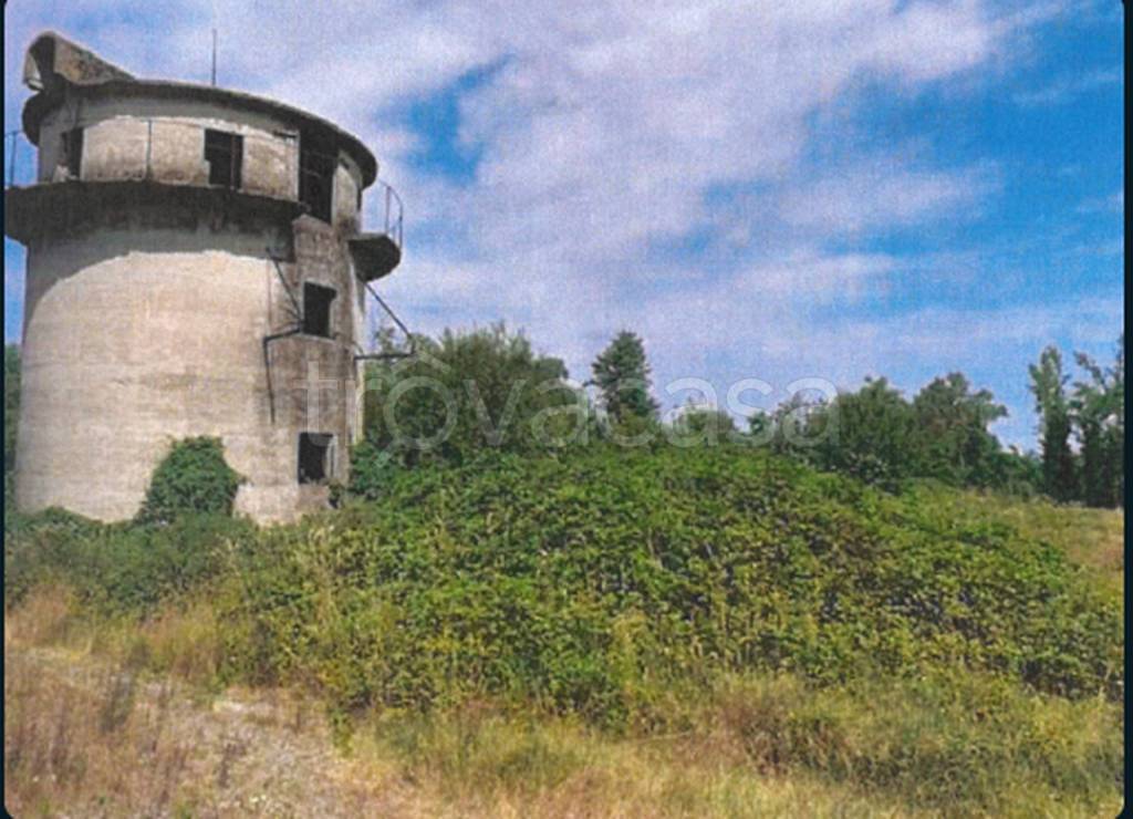 immagine annuncio 7 di 12