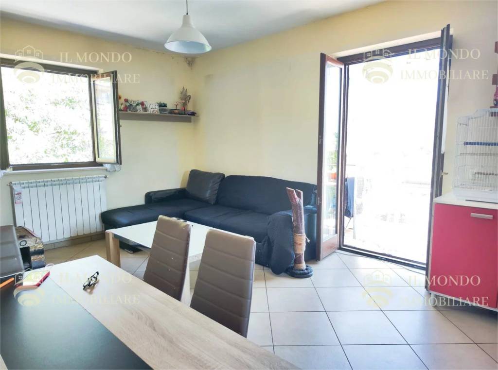 immagine annuncio 9 di 15