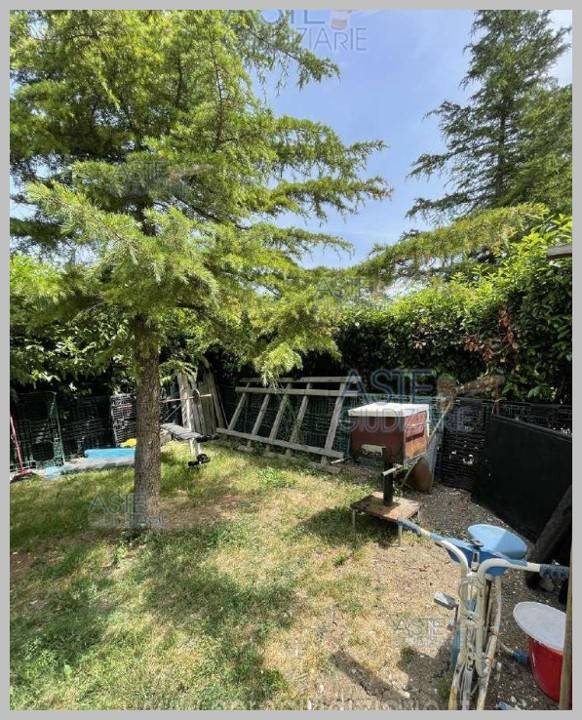 immagine annuncio 11 di 15