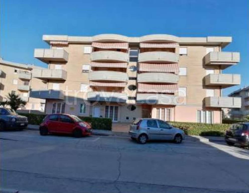 immagine annuncio 10 di 11