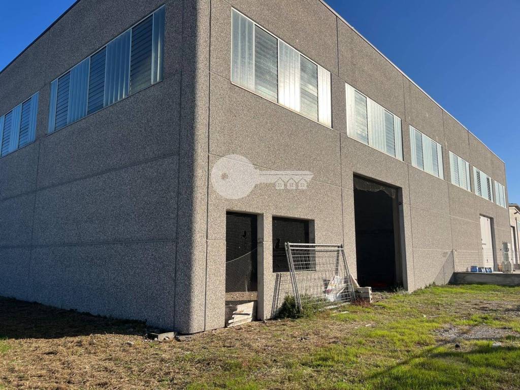 immagine annuncio 6 di 15