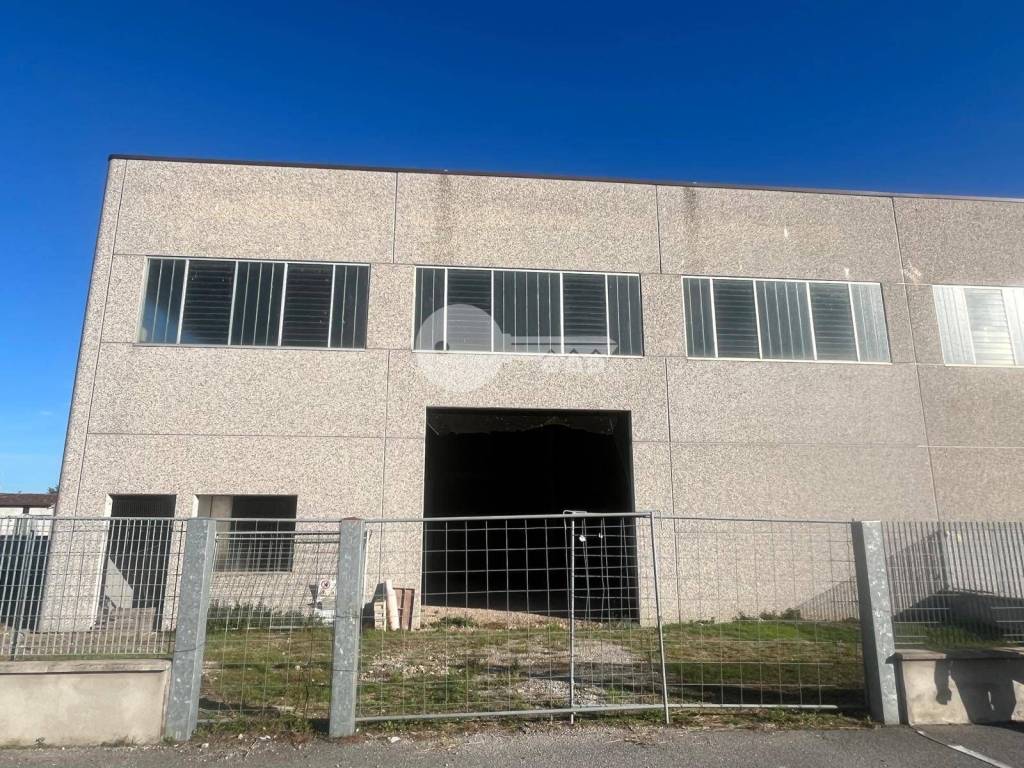 immagine annuncio 13 di 15