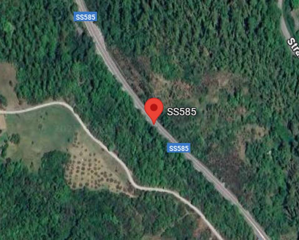 immagine annuncio 11 di 13