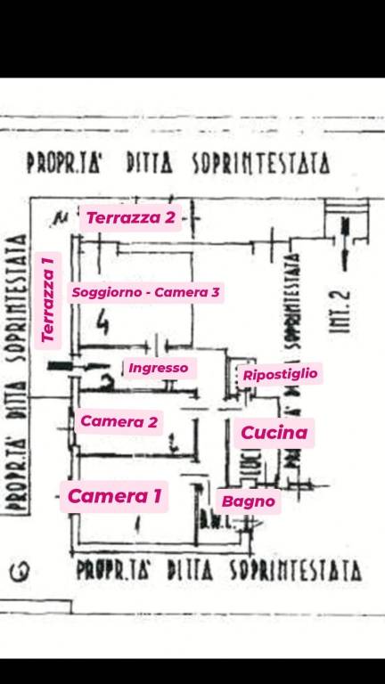 immagine annuncio 12 di 14