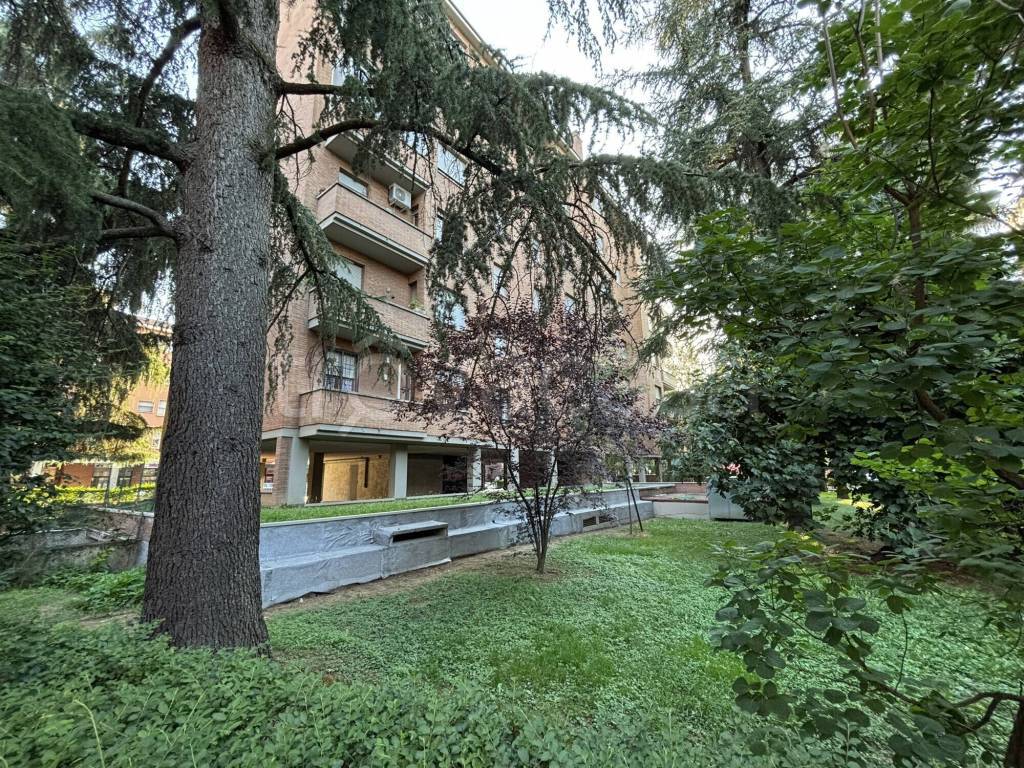 immagine annuncio 5 di 12