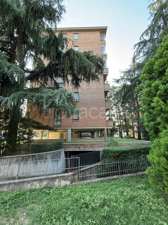 immagine annuncio 6 di 12