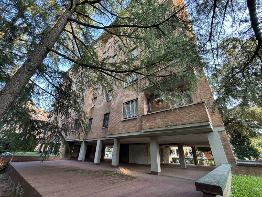 immagine annuncio 10 di 12