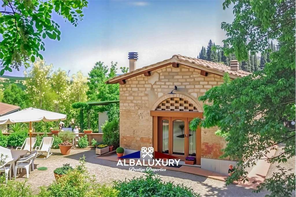 immagine annuncio 4 di 12