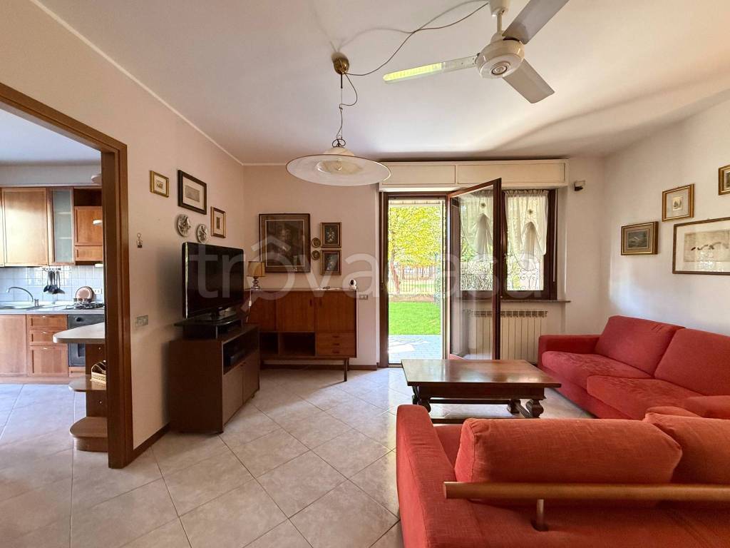 immagine annuncio 12 di 15