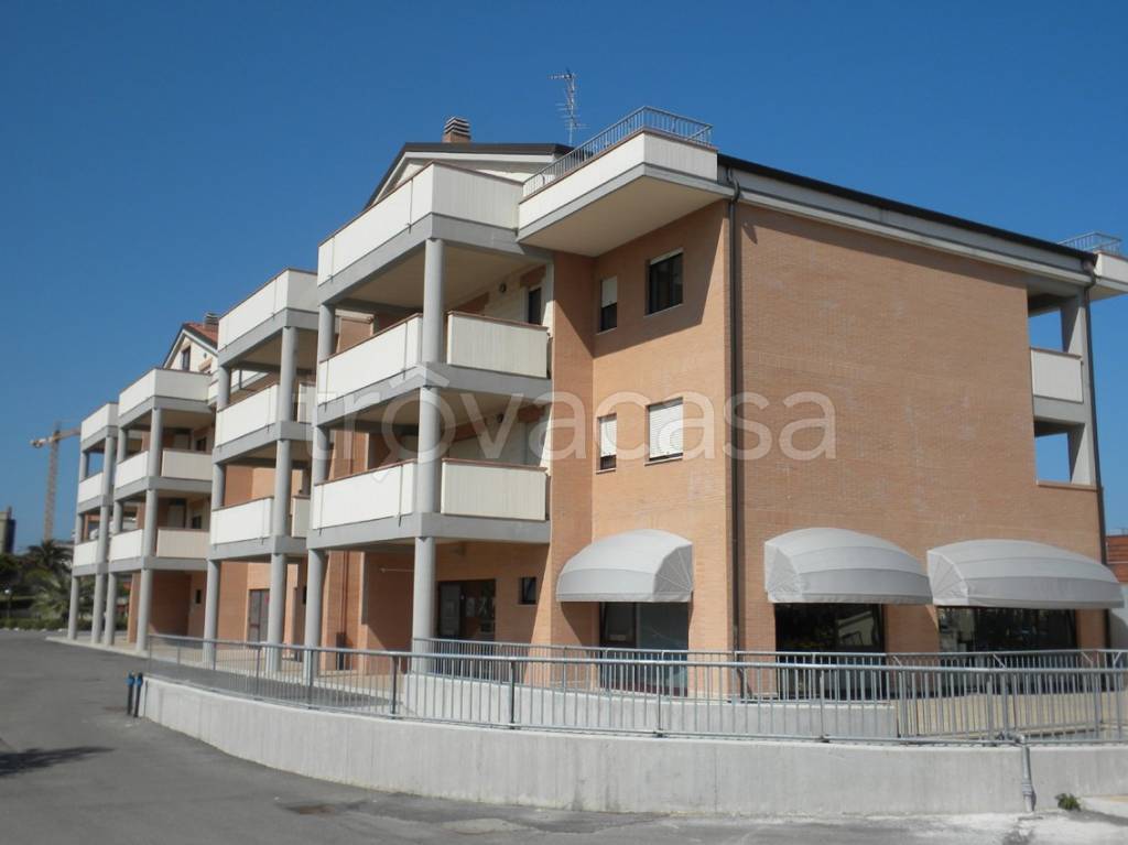 immagine annuncio 2 di 11