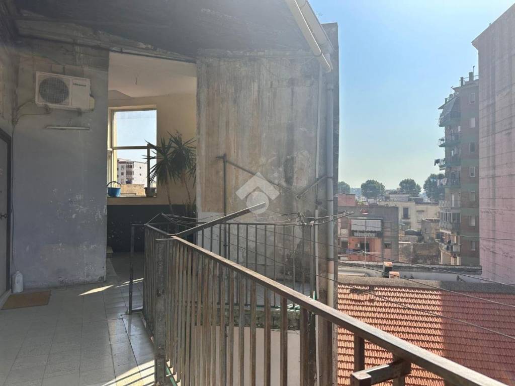 immagine annuncio 10 di 12