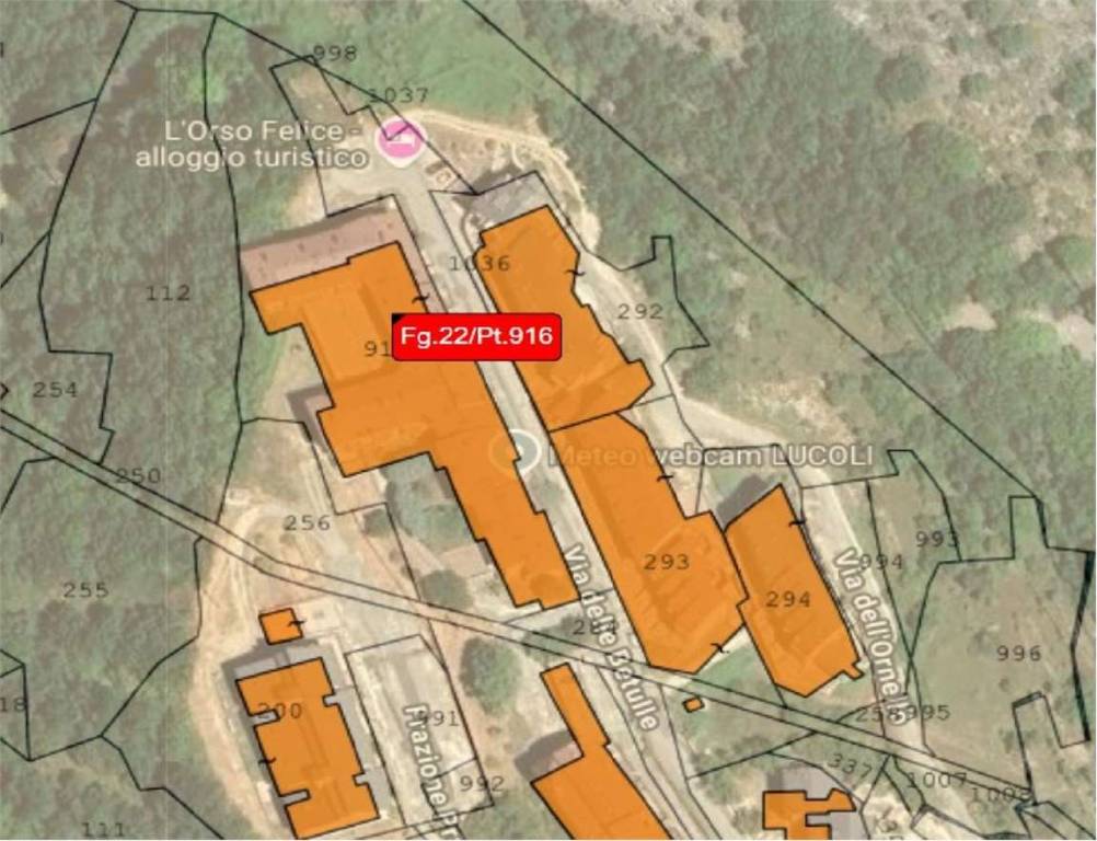 immagine annuncio 14 di 15