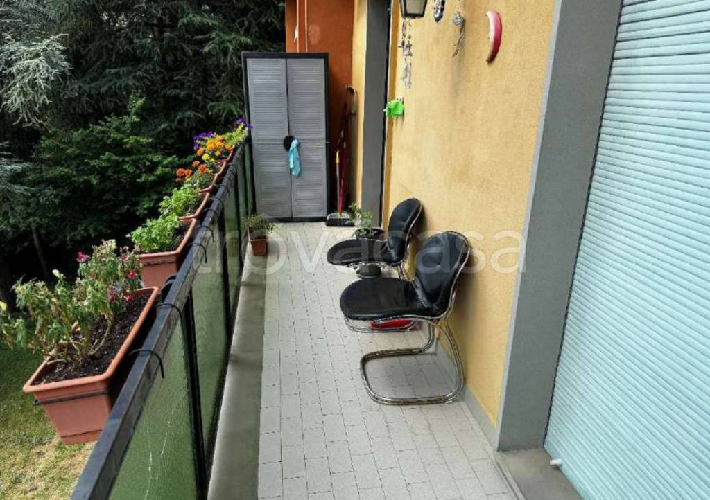 immagine annuncio 12 di 13