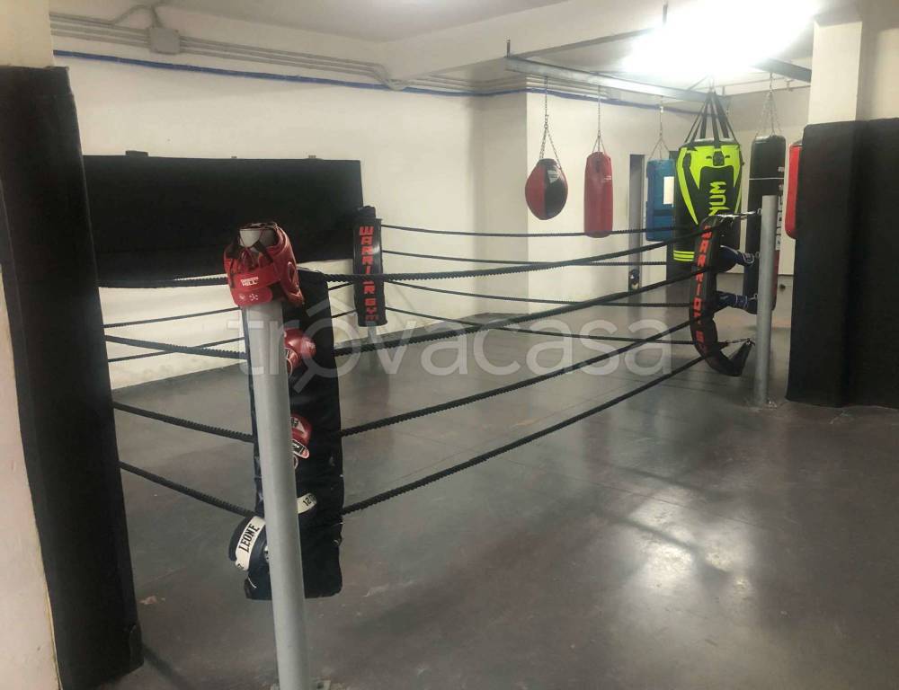 immagine annuncio 4 di 15