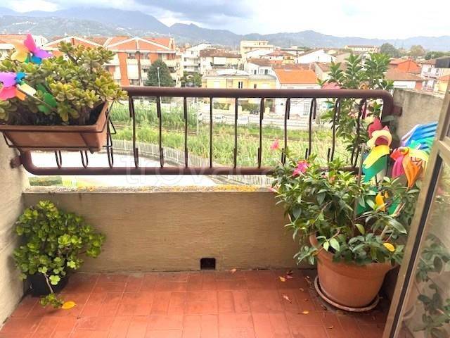 immagine annuncio 11 di 14