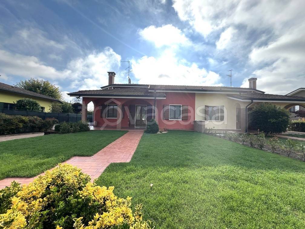 immagine annuncio 3 di 15