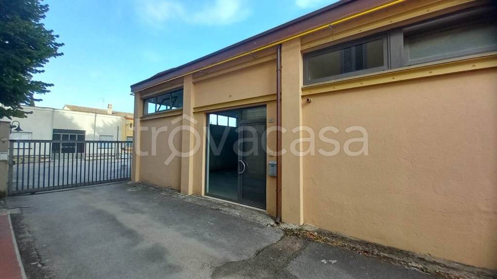 immagine annuncio 4 di 13