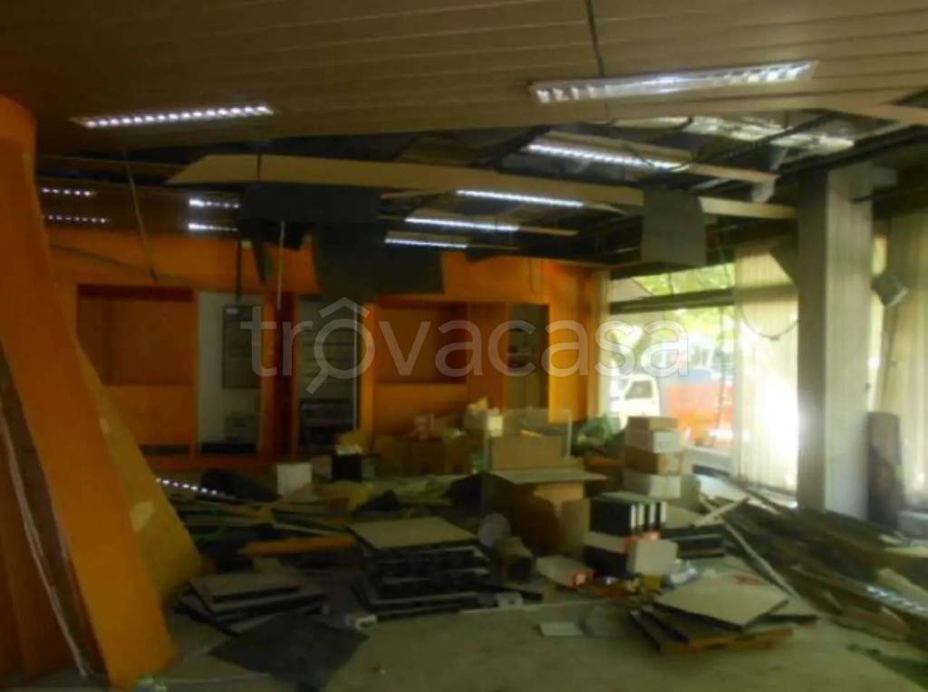 immagine annuncio 2 di 4