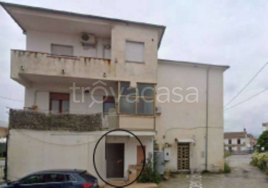 immagine annuncio 3 di 11