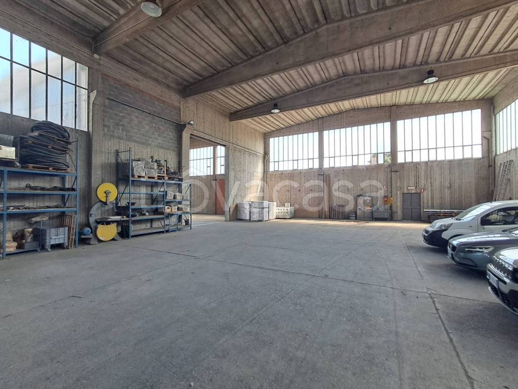 immagine annuncio 5 di 13