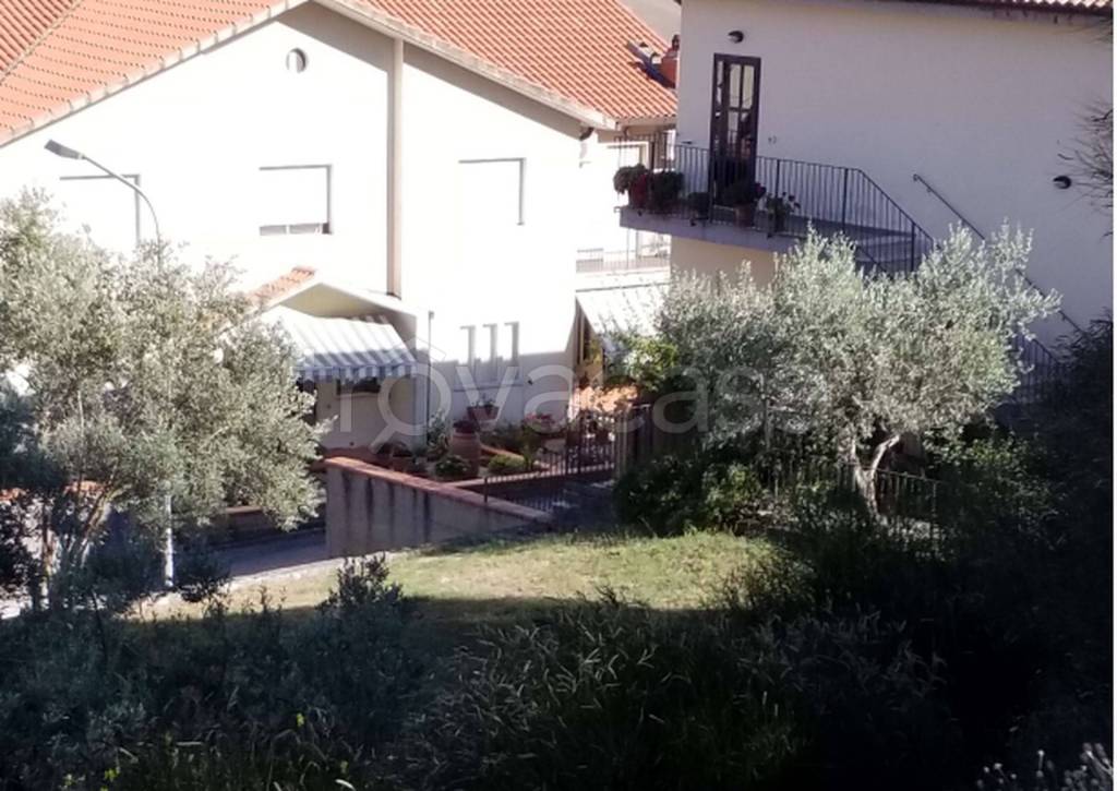 immagine annuncio 4 di 11