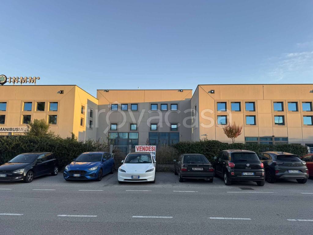 immagine annuncio 4 di 12